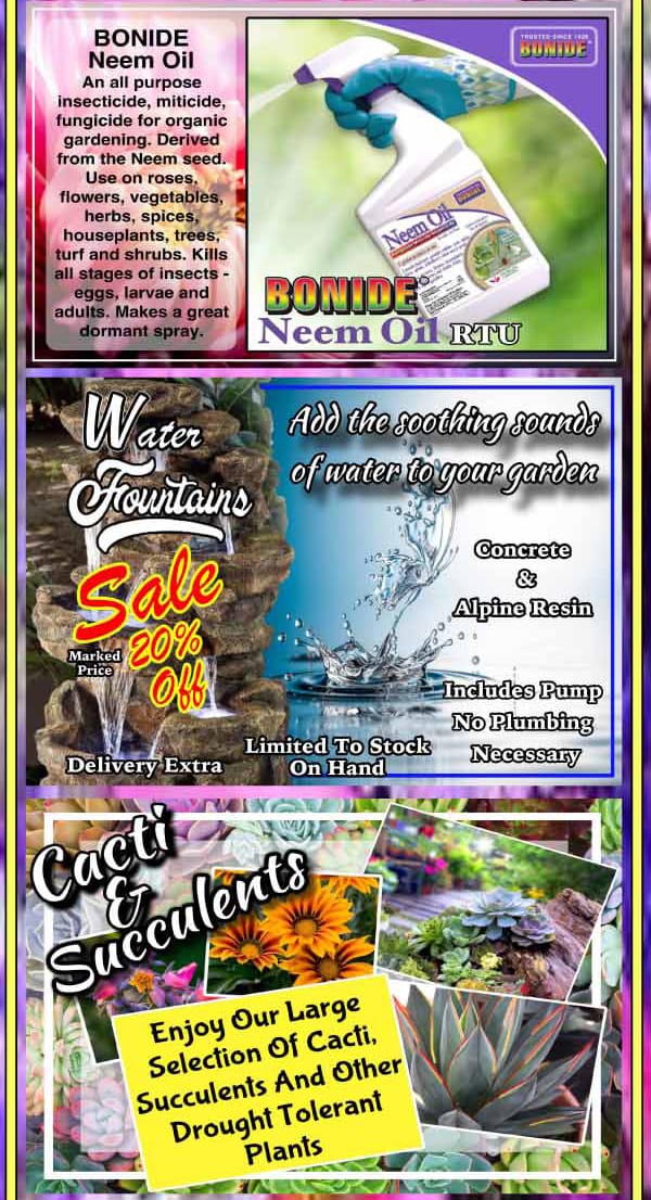 A flyer showcasing a variety of plants and flowers available at the best plant nursery near me.