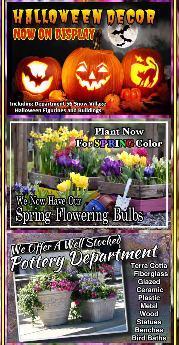 Halloween decor on display at the best garden center near me.