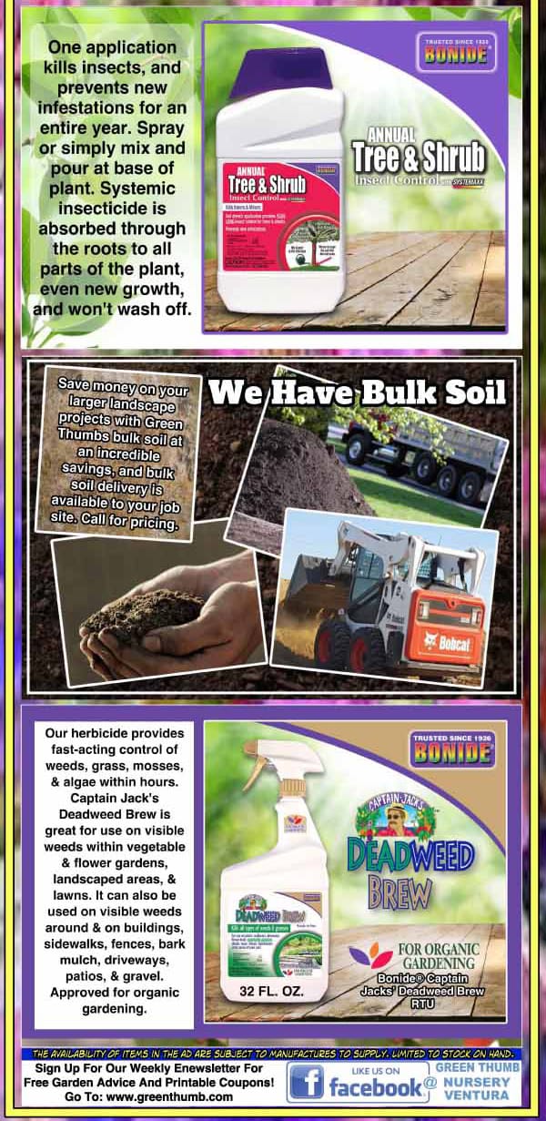 A flyer for the best plant nursery near me.