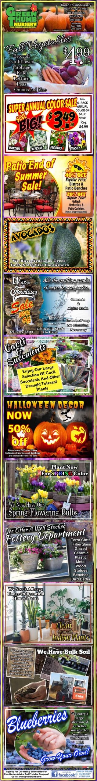 A vibrant poster showcasing a diverse array of fish species.