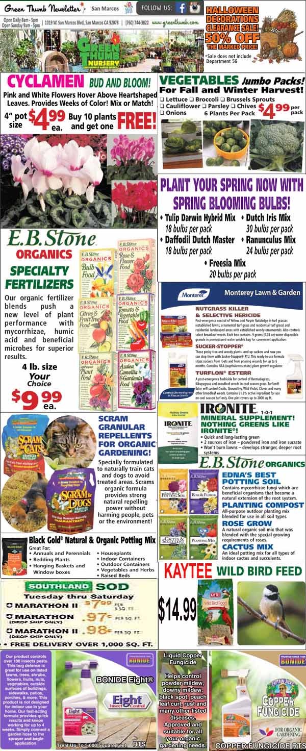 The front page of a newspaper highlighting the vibrant array of plants and flowers at the best garden center near me.