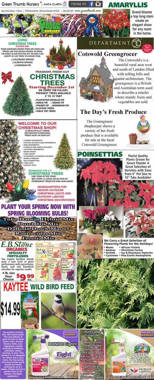 Collage of Green Thumb Nursery ads featuring Christmas trees, poinsettias, fresh produce, spring bulbs, wild bird feed, and gardening supplies with prices and brief descriptions.