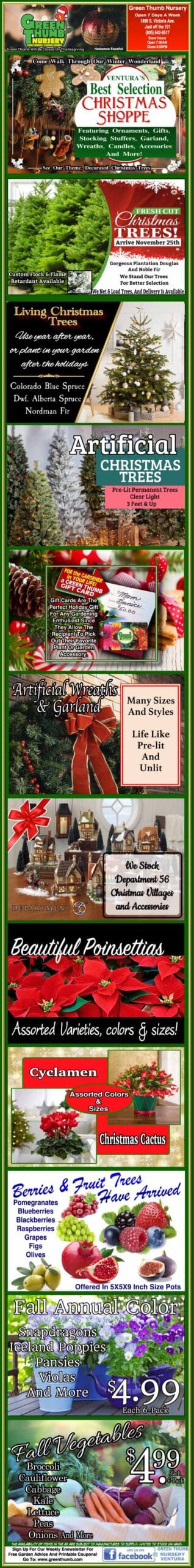 Colorful vertical advertisement featuring plants, Christmas trees, poinsettias, wreaths, succulents, winter plants, and gift cards, with prices and promotional text for a garden center.