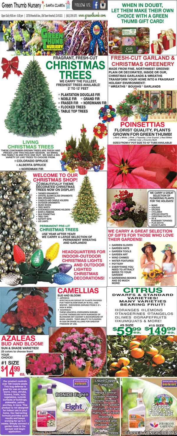 A colorful flyer advertises Christmas trees, garlands, poinsettias, camellias, azaleas, citrus trees, holiday decorations, and nursery gift cards, with prices and images of plants.
