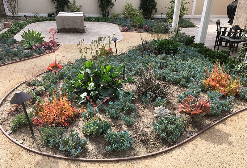 landscape design service succulent design example 2