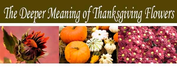 A banner with the text "The Deeper Meaning of Thanksgiving Flowers" above images of a sunflower bud, assorted pumpkins and gourds, and a field of pink flowers.