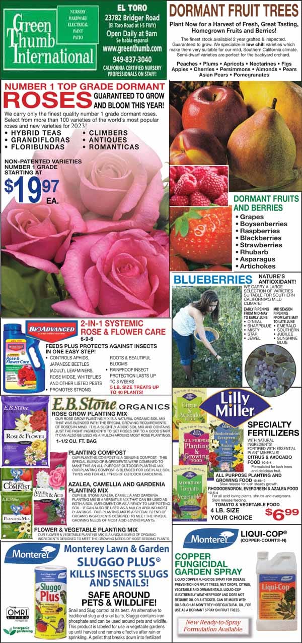 Advertisement flyer featuring roses, fruit trees, organic soils, garden products, fertilizer, pest control, and blueberries from Green Thumb International garden center.