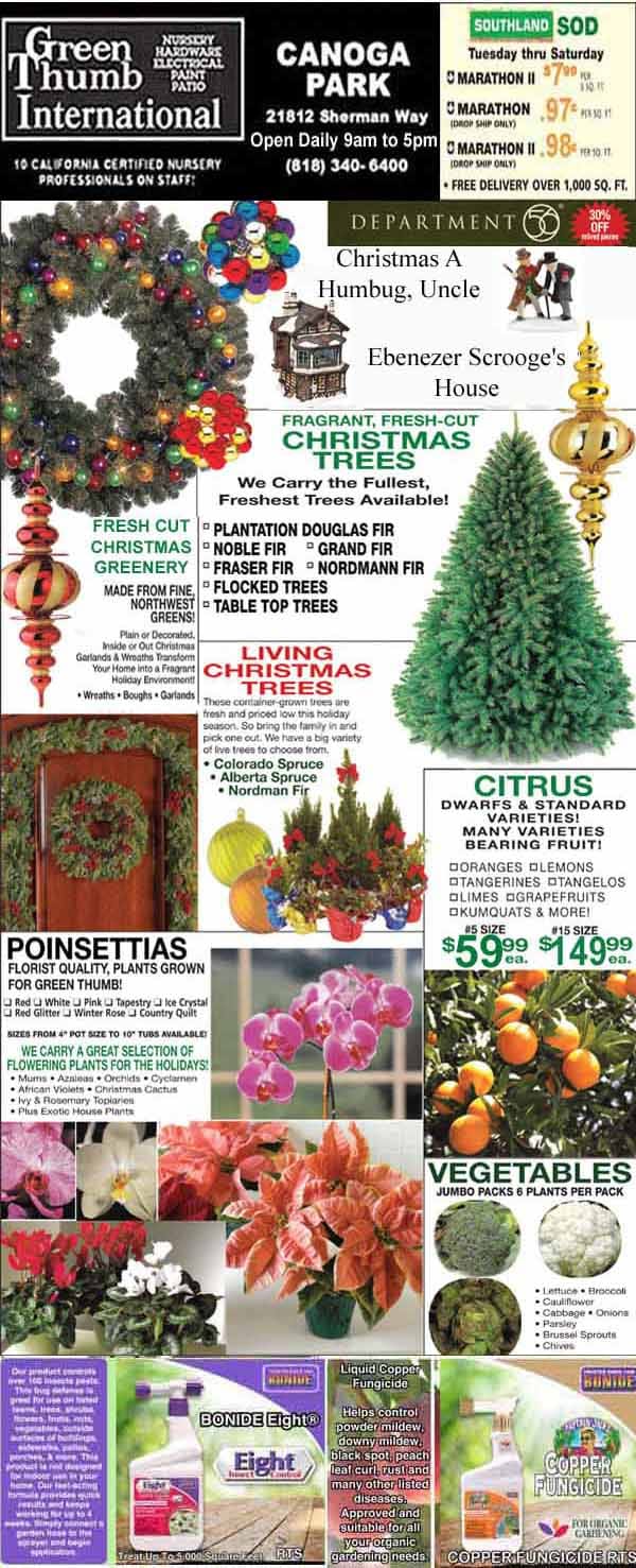 A nursery ad featuring Christmas trees, wreaths, poinsettias, citrus trees, vegetables, orchids, and store information including hours, location, and seasonal specials.