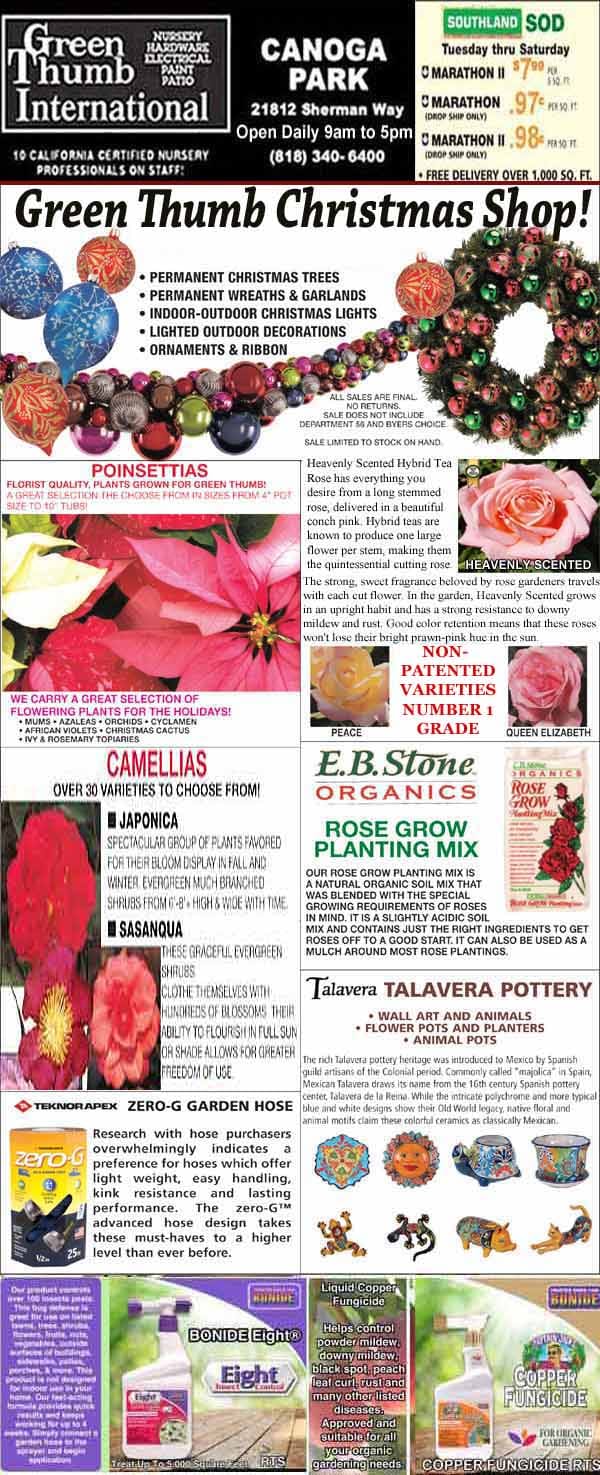 Green Thumb International holiday flyer featuring poinsettias, camellias, Christmas décor, garden products, birdseed, and pottery, with store hours and location information.