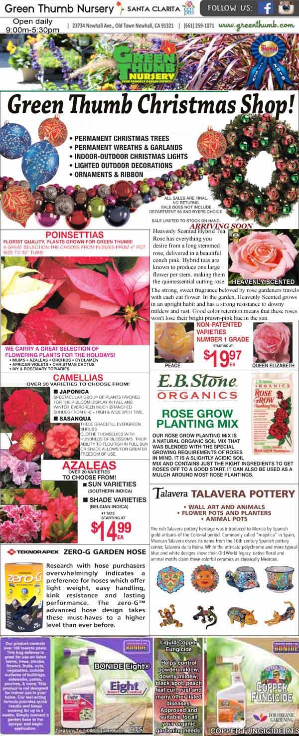 Advertisement flyer for Green Thumb Nursery featuring Christmas trees, poinsettias, camellias, azaleas, gardening supplies, pottery, and store hours in Santa Clarita, California.