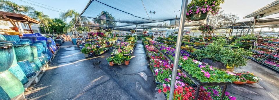 Rows of colorful potted plants and flowers are displayed outdoors at a garden center, with ceramic pots on the left and shade netting overhead.