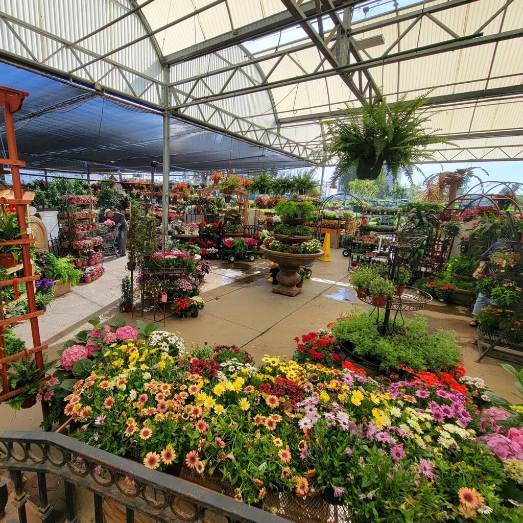 Colorful flowers and green plants arranged on tables inside a large greenhouse with a glass roof, featuring a central stone fountain and shoppers in the background.