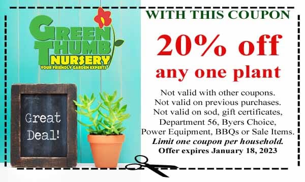 Green Thumb Nursery coupon offering 20% off any one plant; exclusions and terms apply. Offer expires January 18, 2023. Limit one coupon per household.