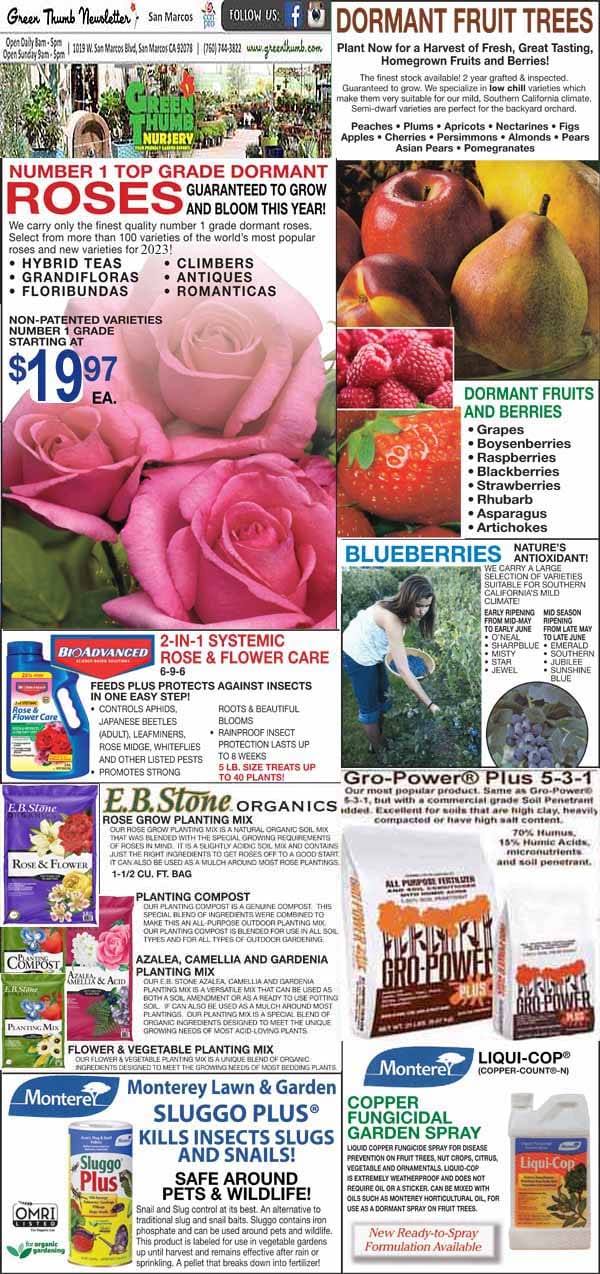 A garden supply newsletter page featuring ads for roses, fruit trees, berries, fertilizers, insect killers, and planting products, with product images and prices shown throughout.