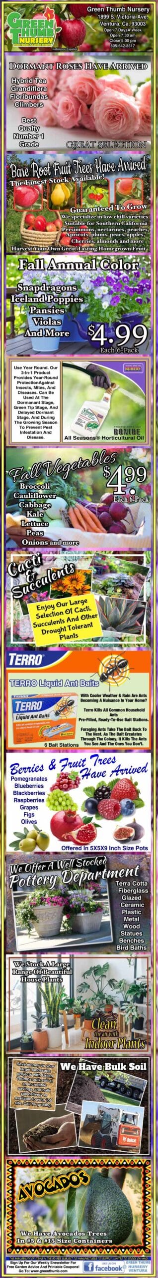 Colorful vertical collage of garden advertisements showcasing seeds, plants, and gardening products, including vegetables, fruits, flowers, pricing details, and gardening tips.