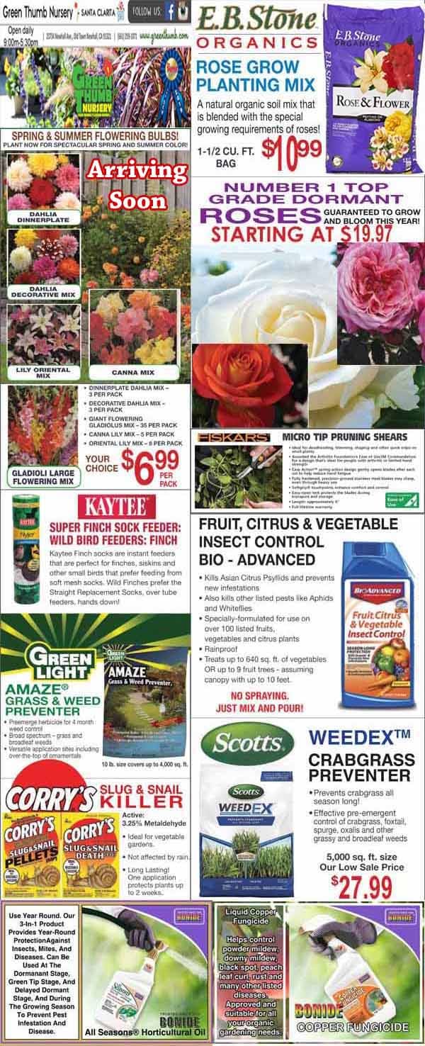 A nursery advertisement page featuring various gardening products, including plant food, insect control, weed killer, rose bushes, tools, and planting mix, with prices and images of the items.