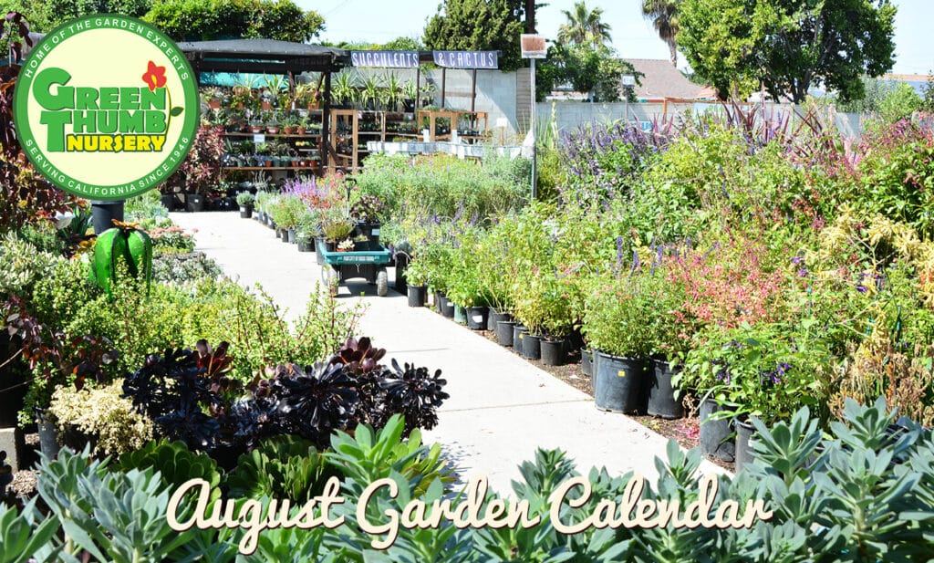 newgardencalaugust