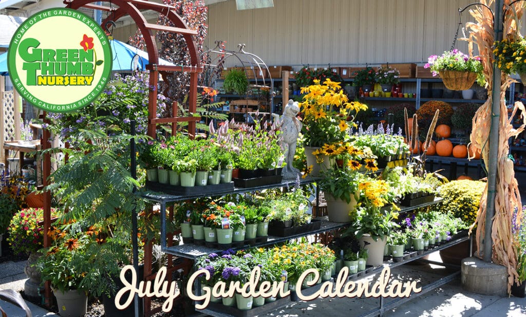 newgardencaljuly