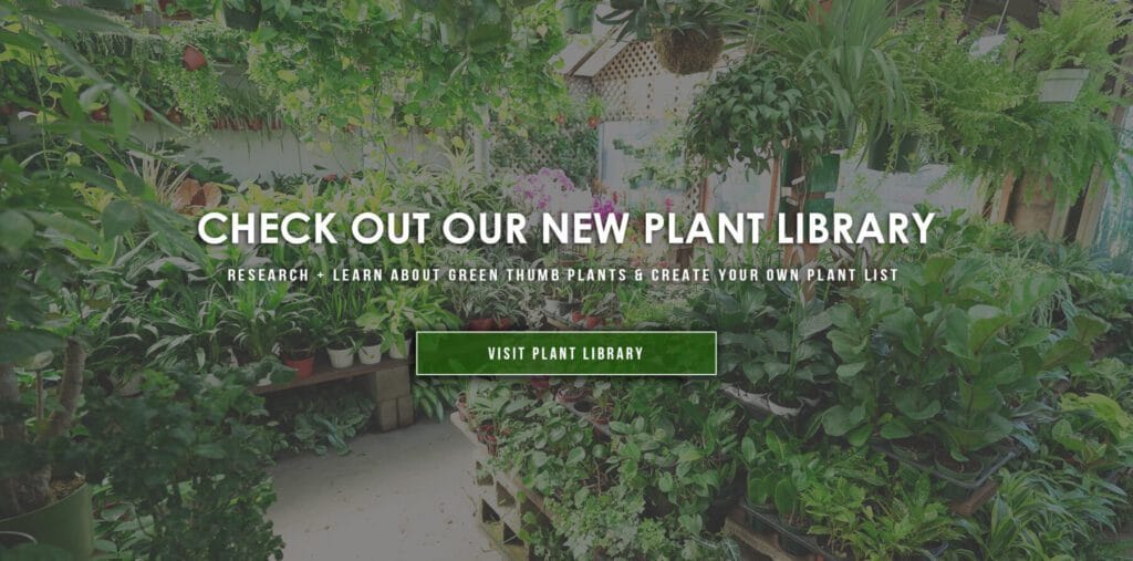 plant-library-banner-website-scaled-1024x507-1