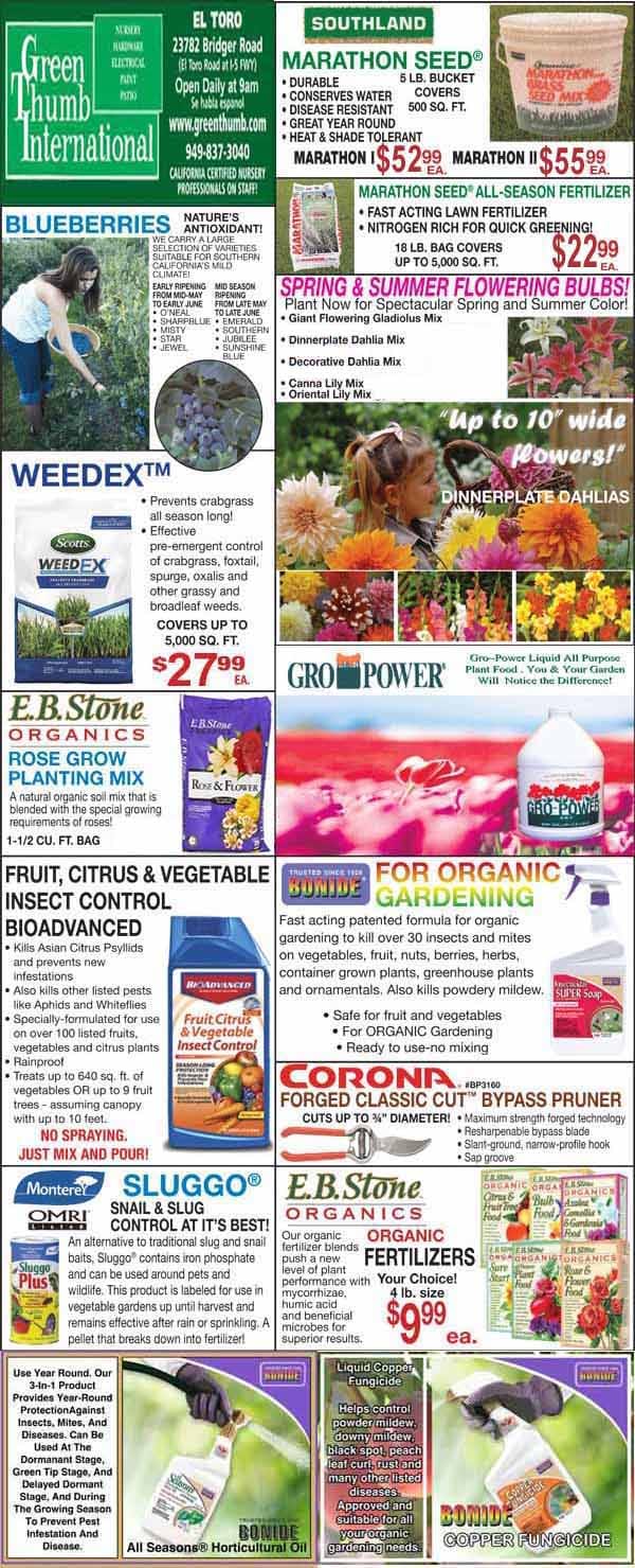 Advertisement flyer for Green Thumb International featuring gardening products, fertilizers, pest control, tools, and spring bulbs with prices and product images on a colorful layout.