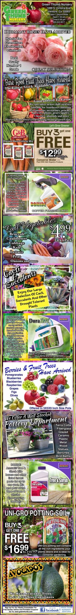 A colorful, vertically-arranged advertisement features seeds, potting soil, gardening tools, and plants, highlighting free shipping, discounts, and various gardening products with promotional text.