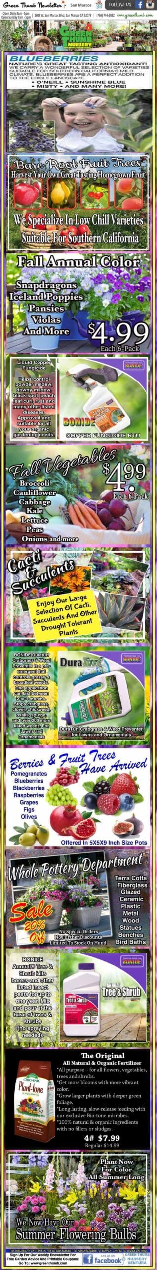 A colorful, multi-sectioned gardening catalog page featuring plants, seeds, gardening kits, seed tapes, and blooming bulbs for sale with prices and product details.