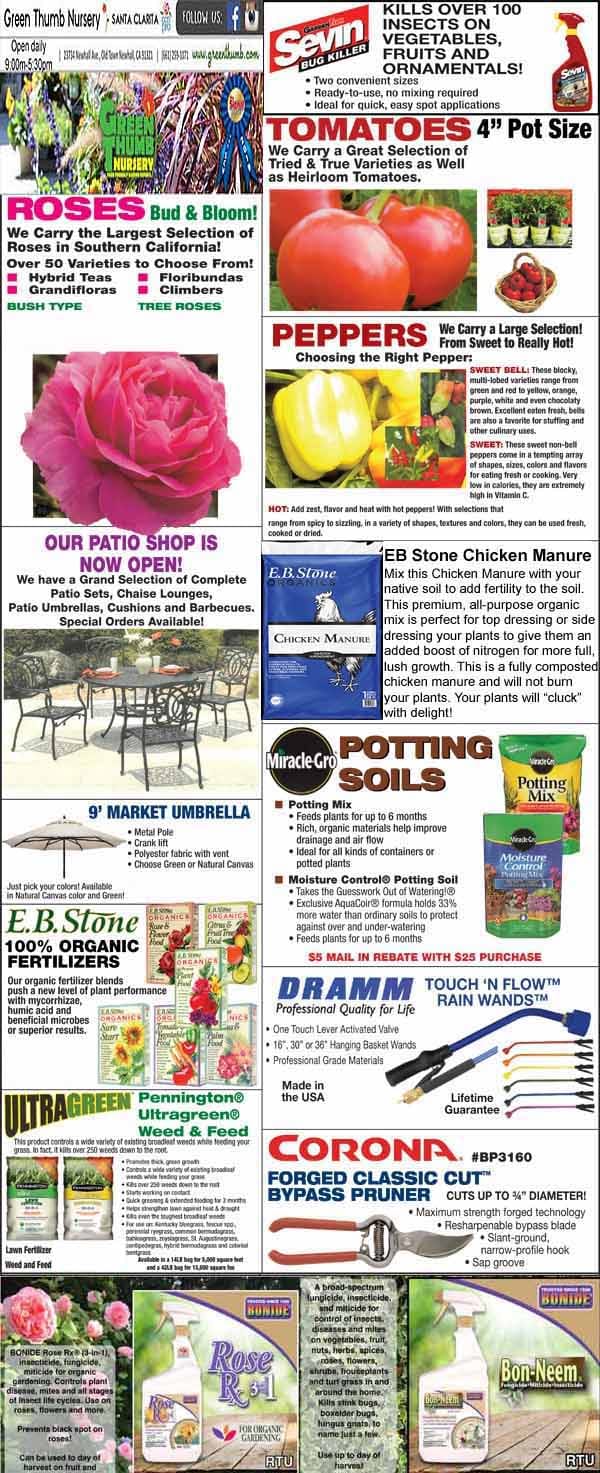 Collage of nursery ads featuring tomatoes, peppers, roses, umbrellas, potting soils, garden tools, and promotional information about Green Thumb Nursery.