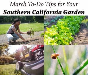 Collage showing a person planting, leafy greens growing, a lawn mower, and a snail, with text about March gardening tips for Southern California.