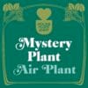 Green and gold graphic with "House Plant Shop" logo at the top and bold text reading "Mystery Plant Air Plant" in the center. Decorative floral border surrounds the text.