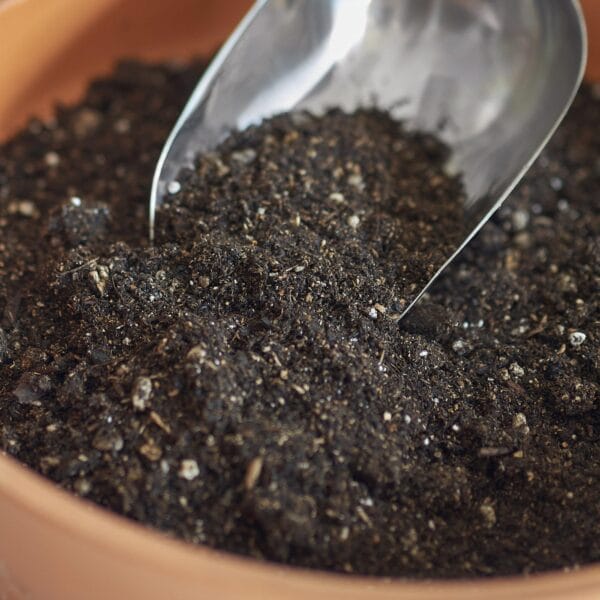 A metal scoop is shown digging into dark soil inside a brown plant pot.