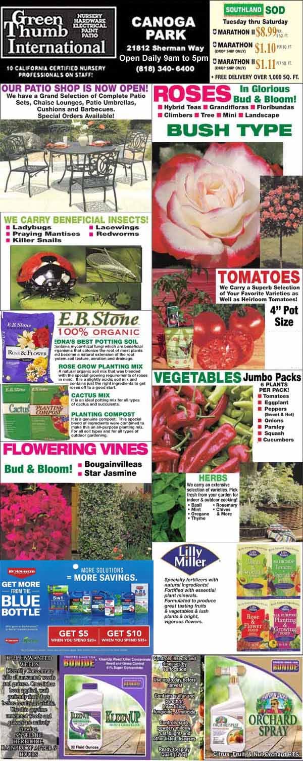 Flyer for Green Thumb International nursery displaying specials on roses, tomatoes, vegetables, vines, gardening supplies, and contact information for the Canoga Park location.