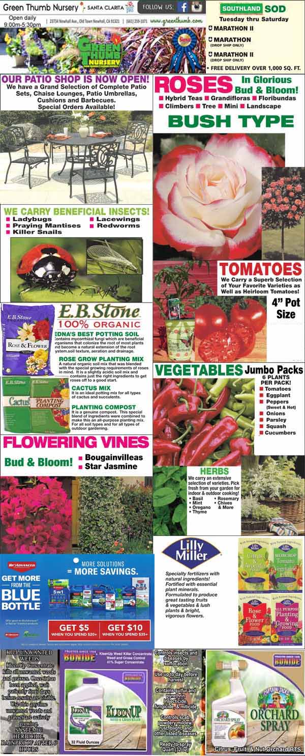 Advertisement for a nursery featuring roses, tomatoes, vegetables, beneficial insects, flowering vines, gardening products, and special offers, with prices and product images throughout.