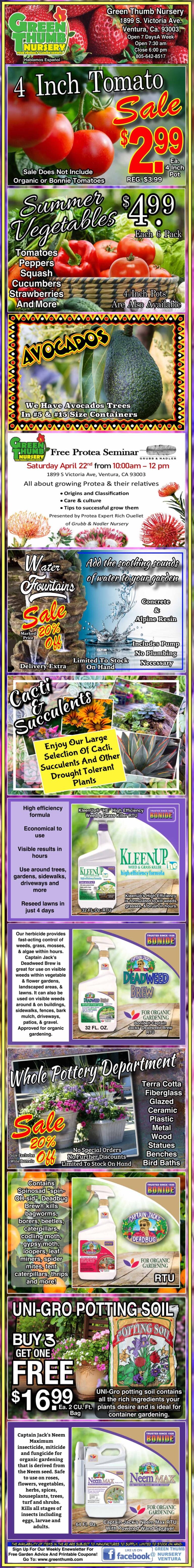 Colorful advertisement flyer featuring plant sales including 4-inch tomatoes, strawberries, avocados, fruit trees, fertilizers, and potting soil, with images and prices for each item.