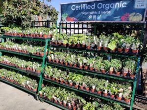 certified organic
