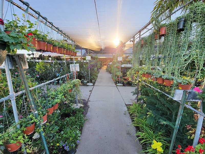 perfect garden awaits best garden center near me the perfect garden awaits