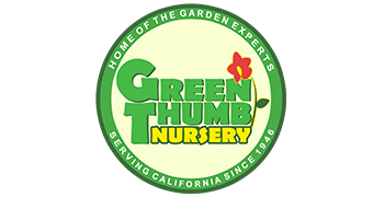 350x180 highlevel logo Circular Green Thumb Nursery logo with a red flower, green and yellow text, and the phrases "Home of the Garden Experts" and "Serving California Since 1946" around the border.