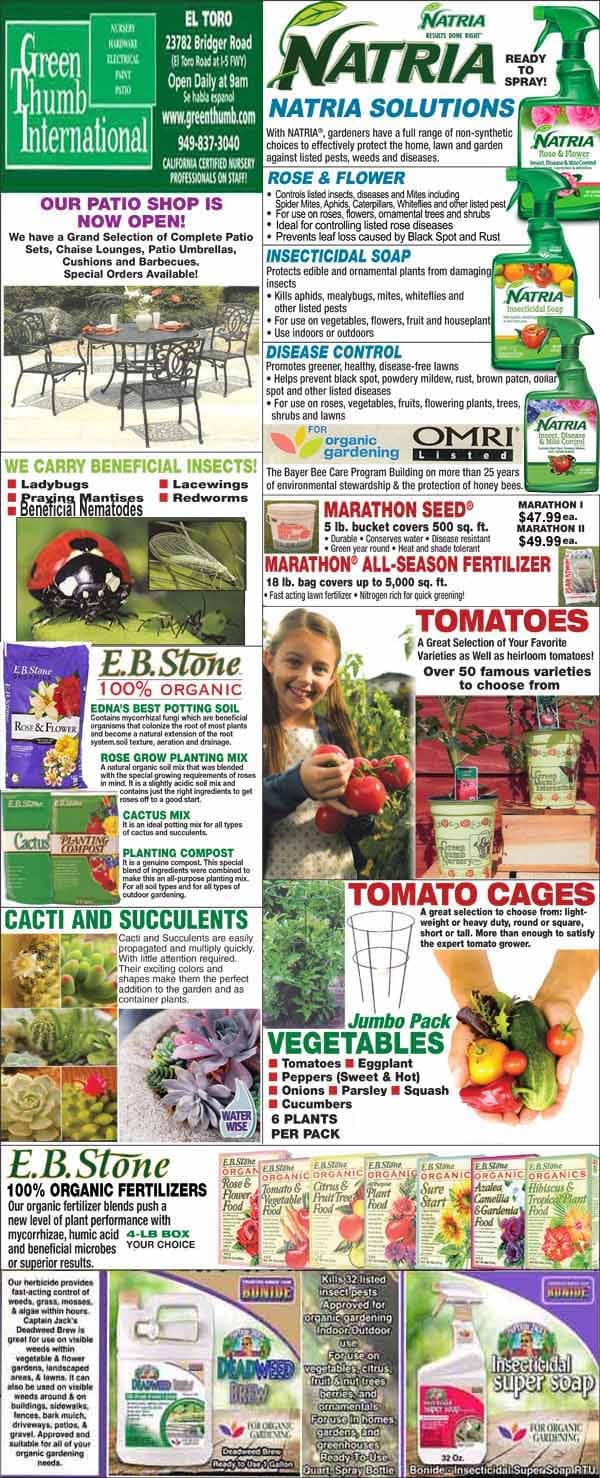 A promotional flyer for Green Thumb International featuring gardening products, seeds, fertilizers, beneficial insects, patio shop info, and plant care solutions with images and contact details.