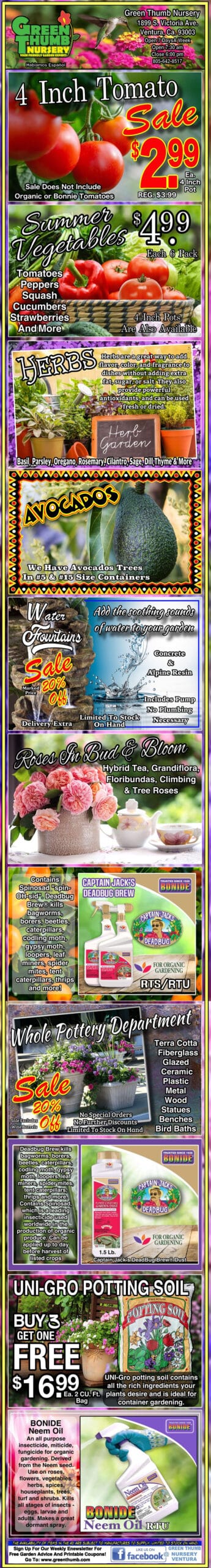 Colorful garden center flyer displaying sales on tomato plants, fruit trees, avocados, seed potatoes, garden soil, and gardening rewards program details. Promotional prices and images are shown.