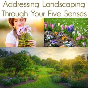 A woman smells flowers, a flower bed displays colorful blooms, and a landscaped garden is shown at sunset, with text about landscaping through the five senses.