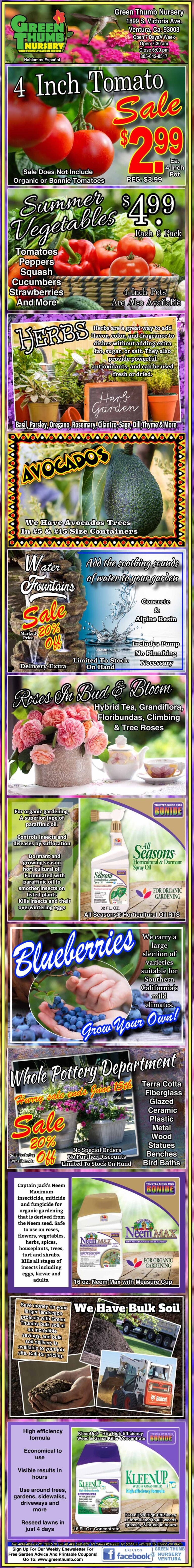 Vertical advertisement featuring sales on 4-inch tomato plants, blueberry bushes, fruit trees, premium mulch, seeds, garden soils, and mulch delivery services at Knapp's Plants.