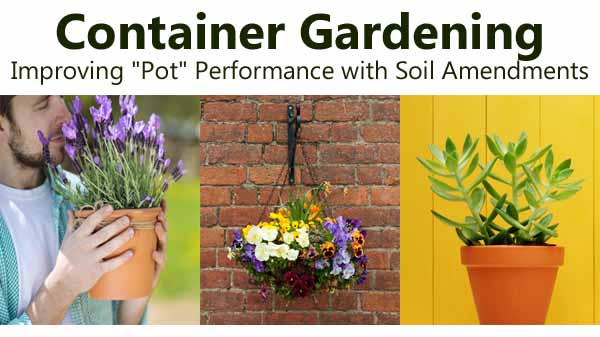Three images of potted plants: a man holding purple flowers, a hanging basket of mixed flowers on a brick wall, and a succulent in a pot, with text about container gardening and soil amendments.