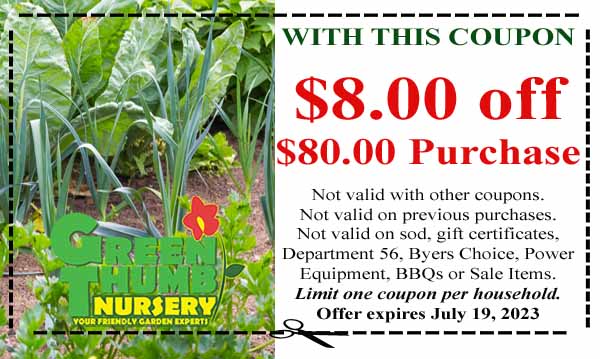 Coupon for Green Thumb Nursery offering $8 off an $80 purchase; terms and conditions apply. Offer expires July 19, 2023.