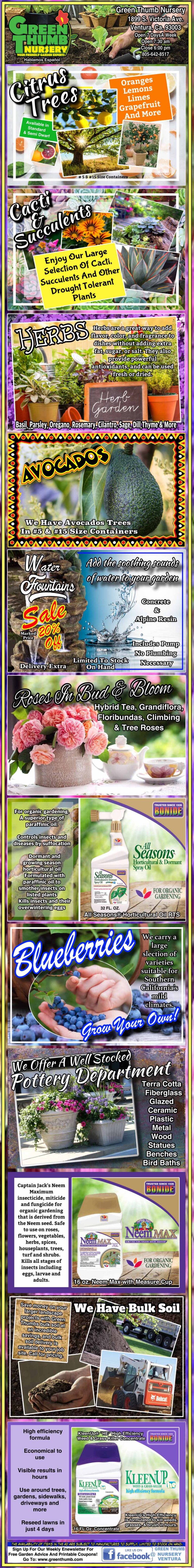 Vertical collage of gardening ads promoting blueberry plants, fertilizers, and planting tips, with photos of blueberries, products, and growing instructions in colorful, bold designs.
