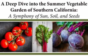 Header text about summer vegetable gardening in Southern California; images of tomatoes, Swiss chard, and beets below the title.