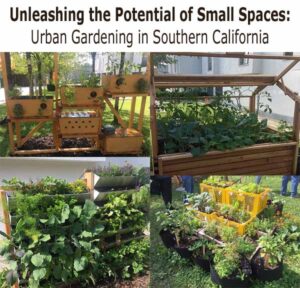 Collage showing various small urban garden setups with raised beds, vertical planters, and crates filled with plants in a Southern California outdoor setting.