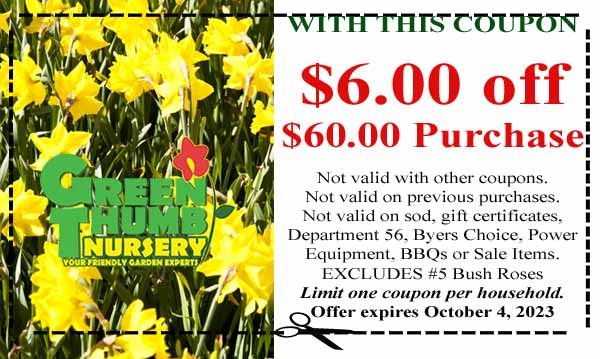 Coupon for Green Thumb Nursery offering $6.00 off a $60.00 purchase; exclusions and conditions apply. Expires October 4, 2023. Yellow flowers in background.