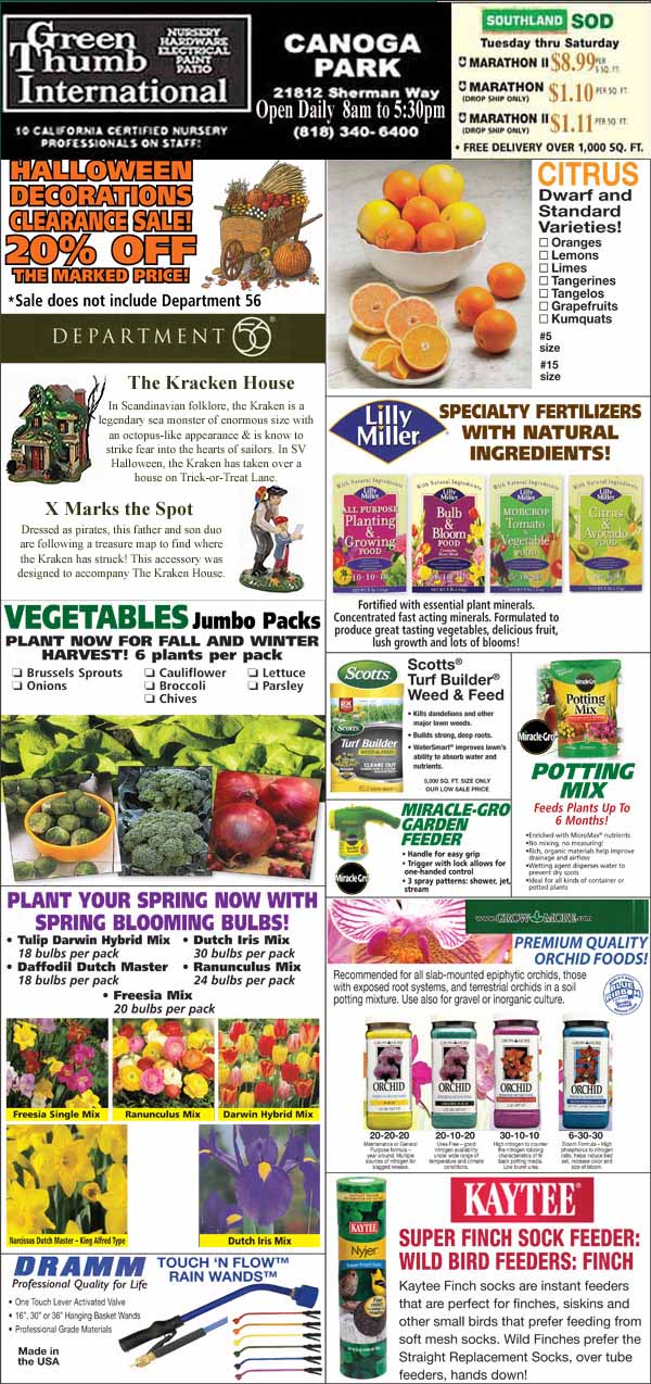 front page, newspaper