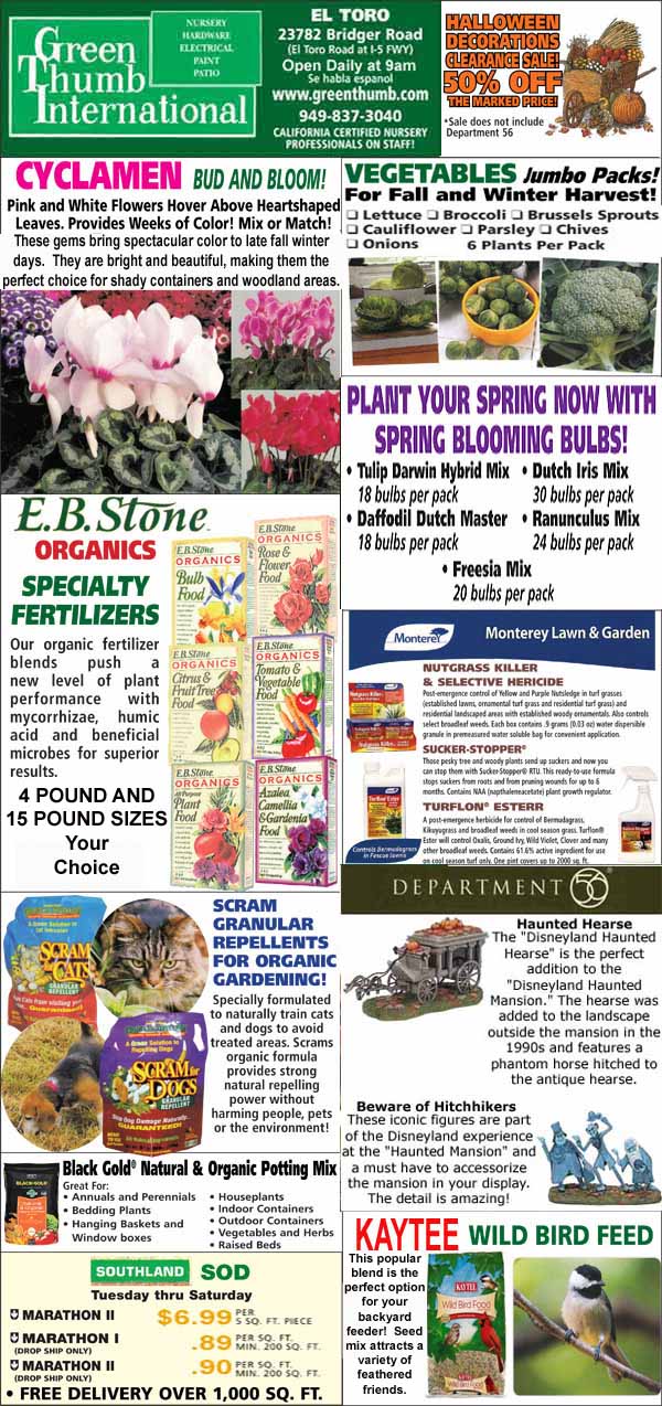 A garden supply store flyer featuring ads for cyclamen flowers, organic fertilizers, vegetable seed packs, spring bulb kits, pet supplies, wild bird feed, and store contact details.