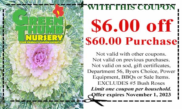 Coupon for Green Thumb Nursery offering $6.00 off a $60.00 purchase; exclusions apply. Limit one per household. Expires November 1, 2023. Image of ornamental cabbage in background.