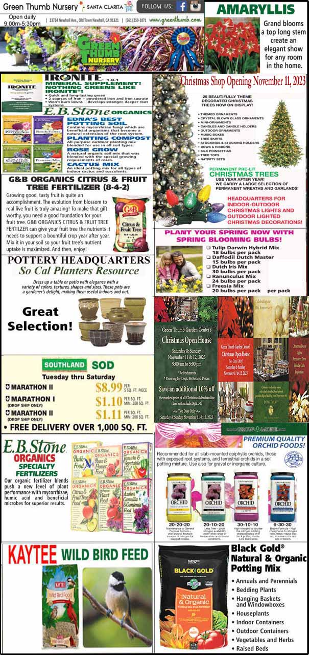 The front page of a newspaper with a variety of items.